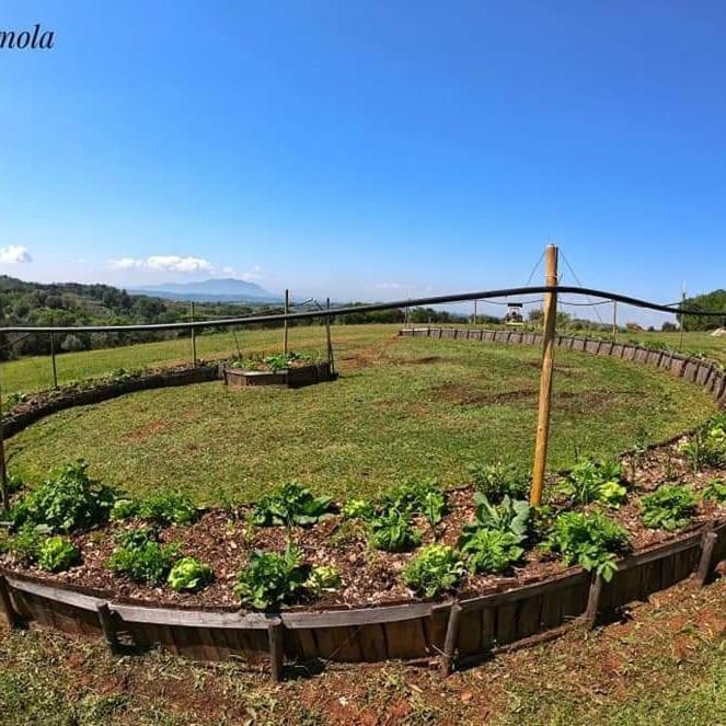 Apartmán La Casa Del Tartufo Torri in Sabina Exteriér fotografie